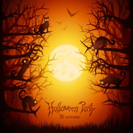 Halloween night with cats